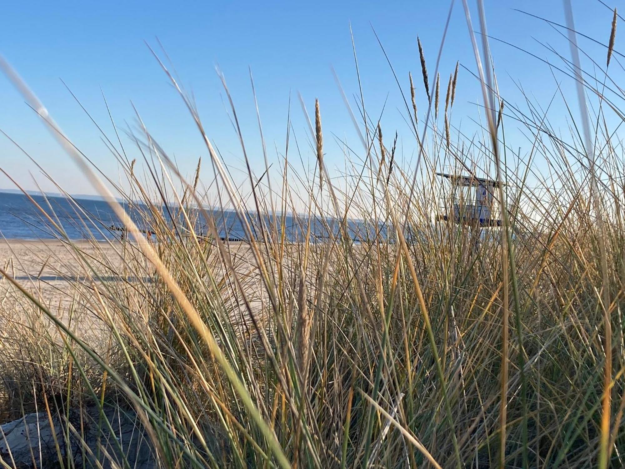 Ferienwohnungen Ostsee&Mehr Ostseebad Heringsdorf Exterior foto